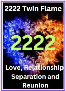 2222 twin flame|2222 Twin Flame Reunion